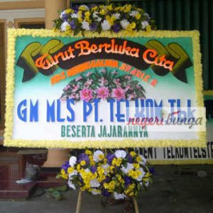 bunga papan pati terbaik